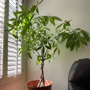 Meet your Posher, Leydi